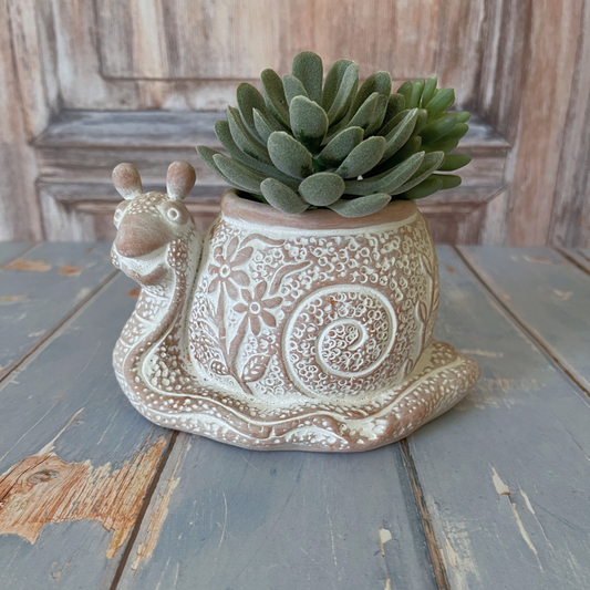 What's the Hurry Snail Terracotta Planter