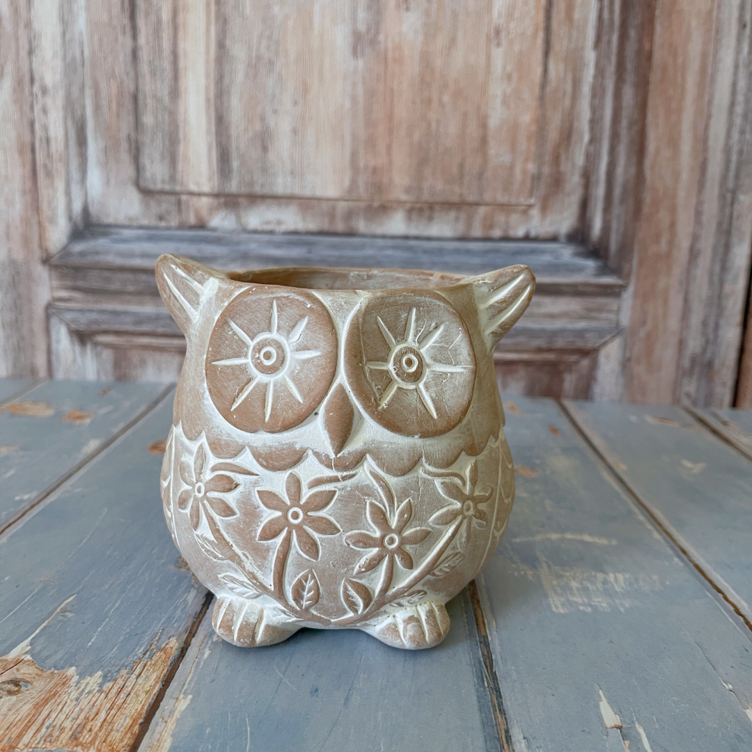 Who's Who Owl Terracotta Planter