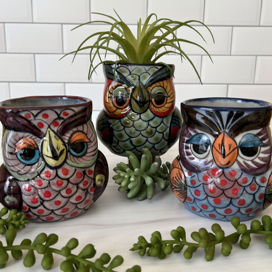 Charming Ceramic Owl Planter