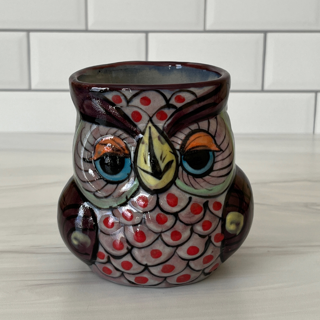 Charming Ceramic Owl Planter