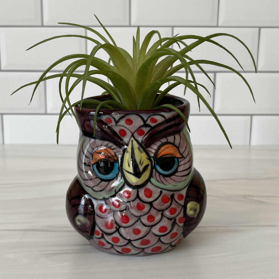 Charming Ceramic Owl Planter