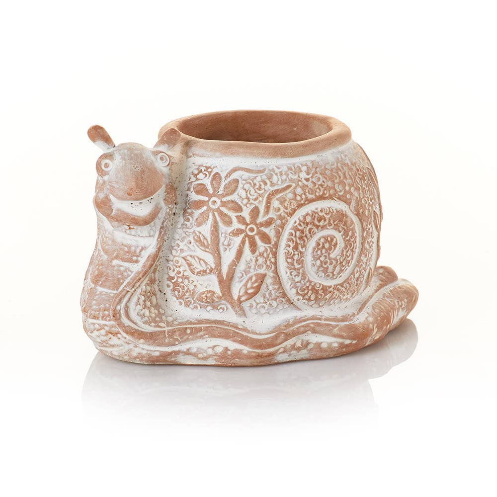 What's the Hurry Snail Terracotta Planter