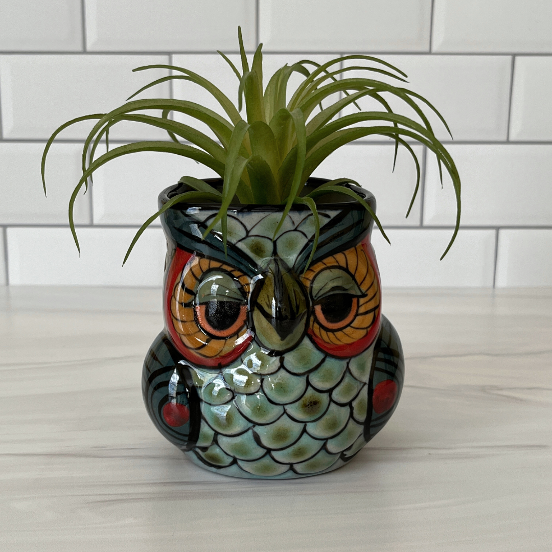 Charming Ceramic Owl Planter