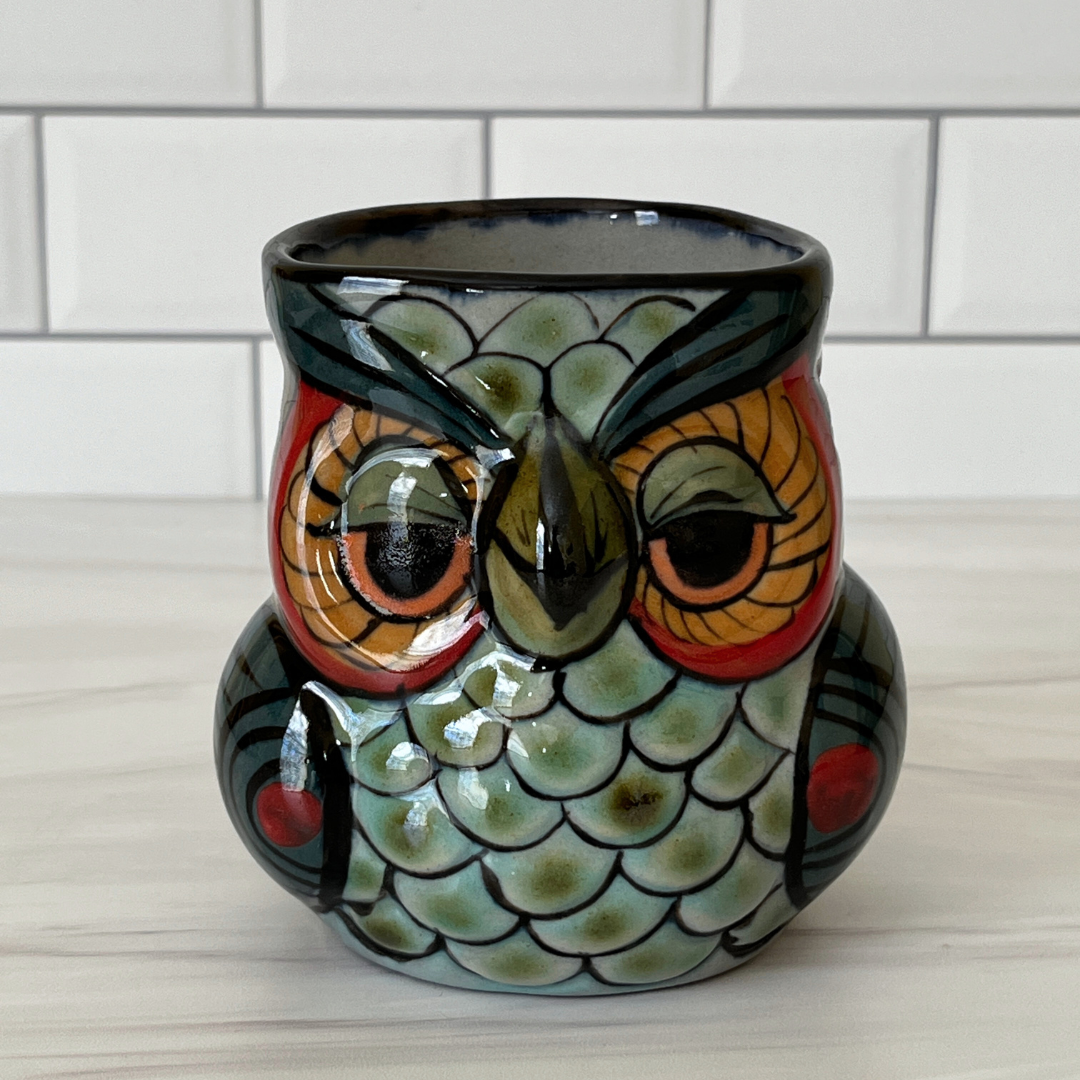 Charming Ceramic Owl Planter