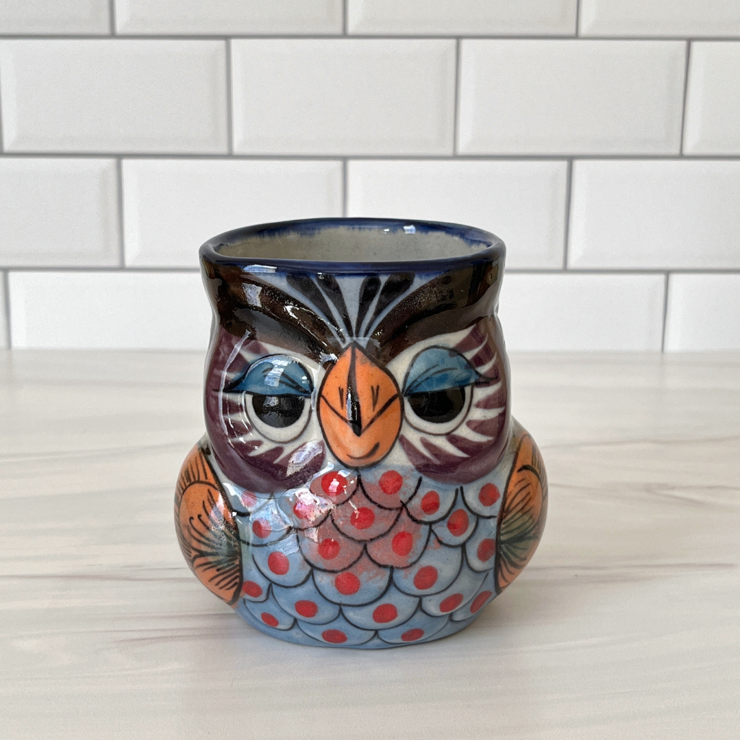 Charming Ceramic Owl Planter