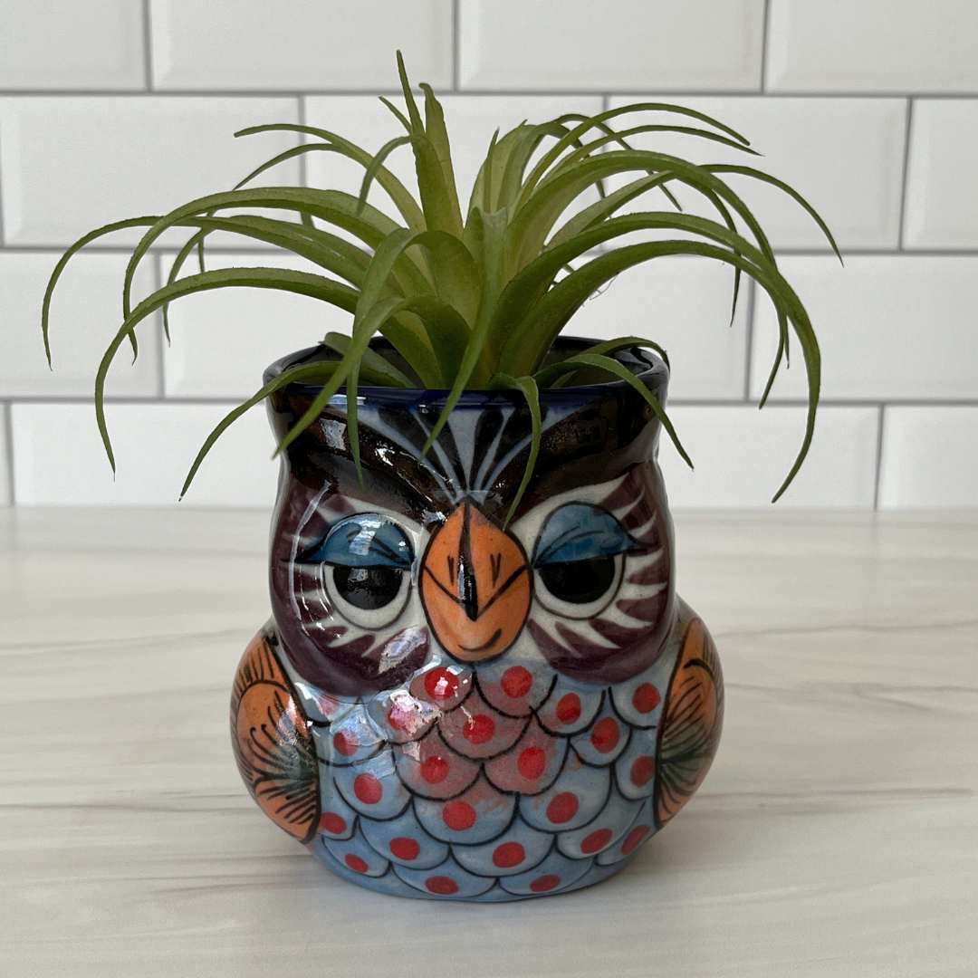 Charming Ceramic Owl Planter