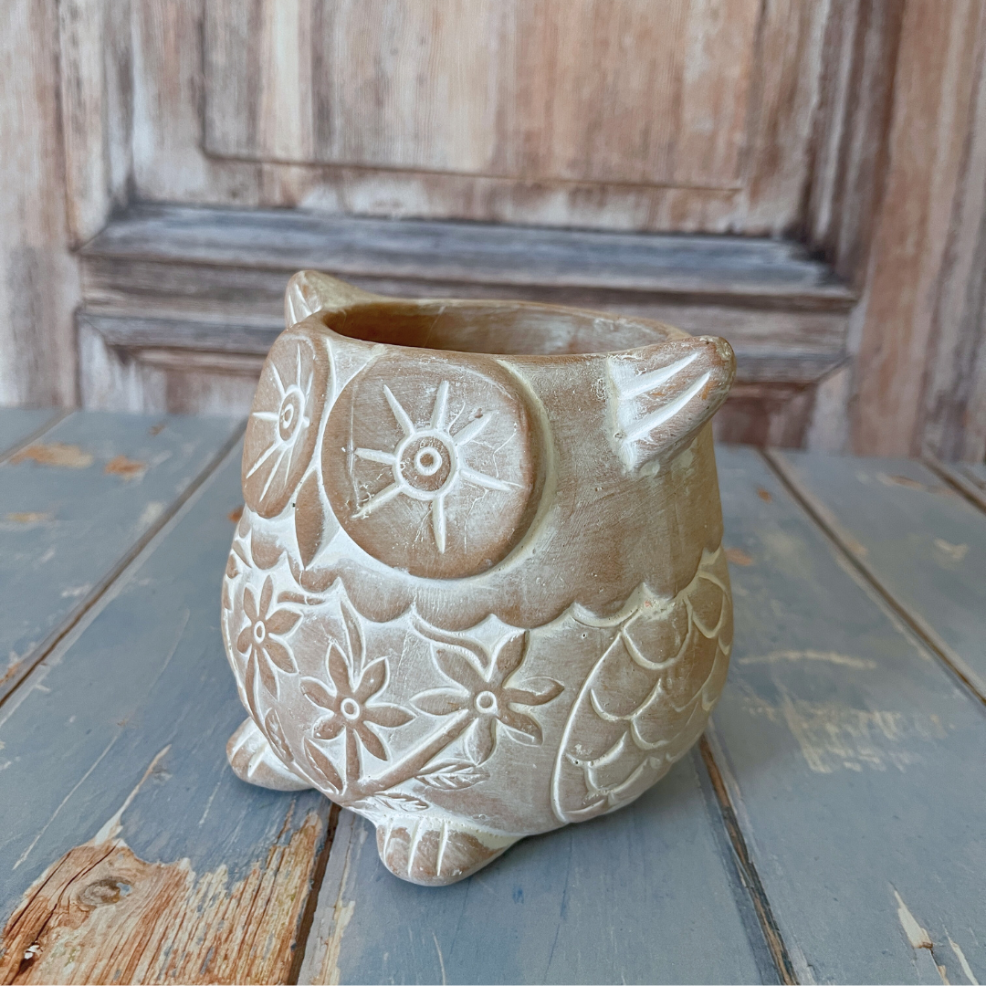 Who's Who Owl Terracotta Planter