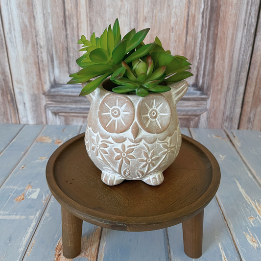 Who's Who Owl Terracotta Planter