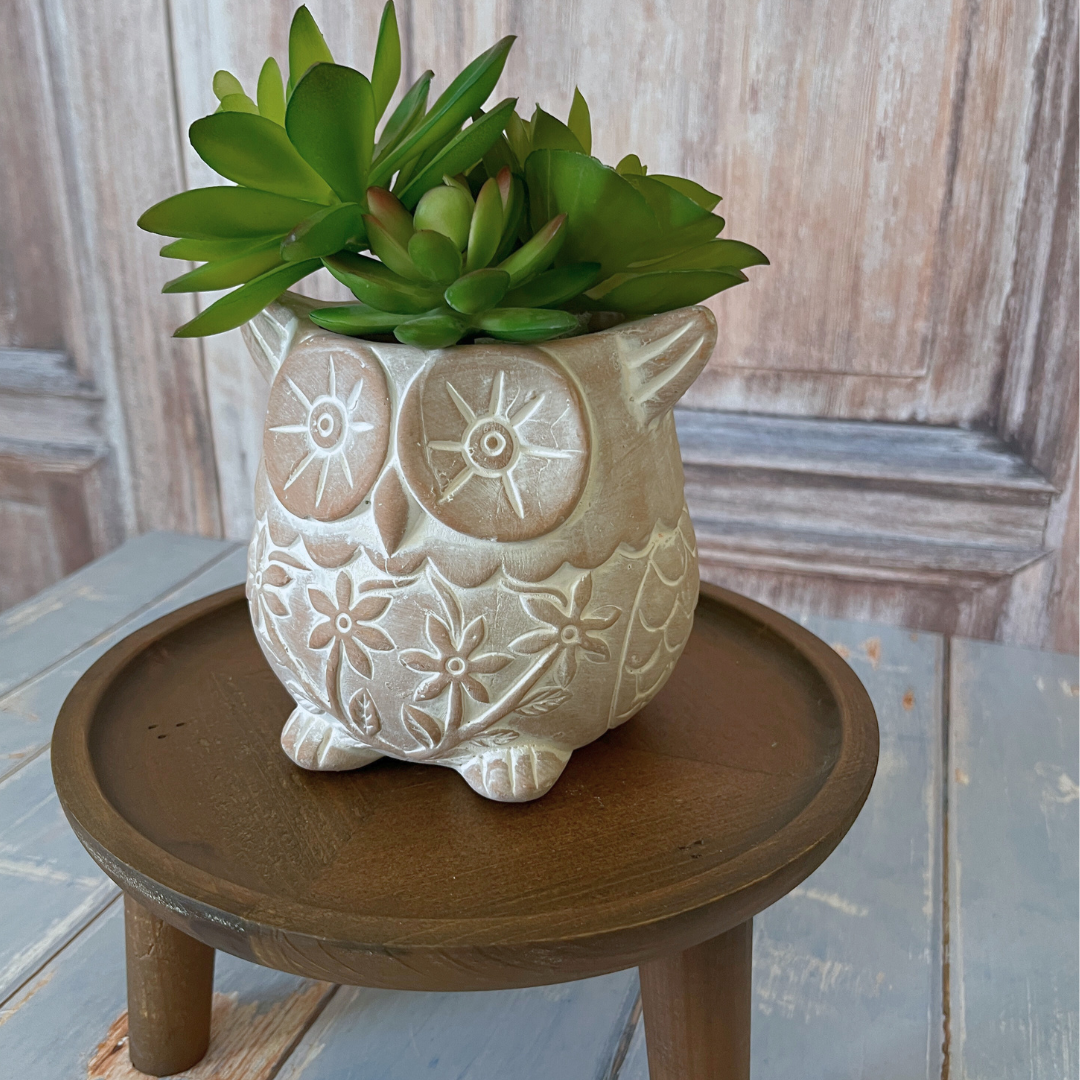 Who's Who Owl Terracotta Planter