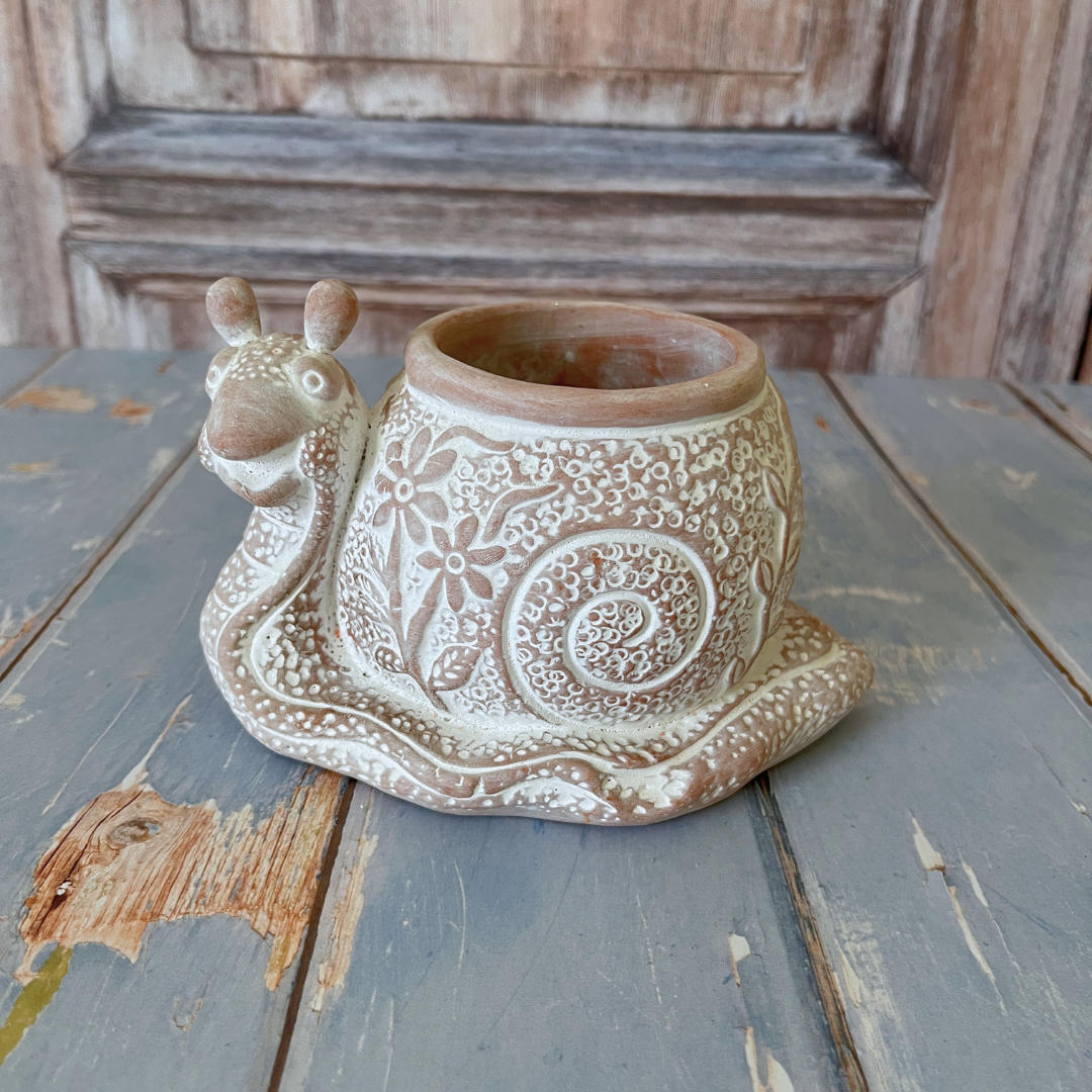 What's the Hurry Snail Terracotta Planter