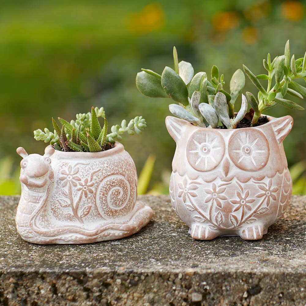 What's the Hurry Snail Terracotta Planter