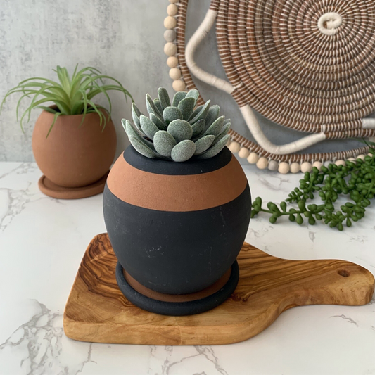 "Be Round" Small ceramic planter w/drainage plate - Black/Terracotta