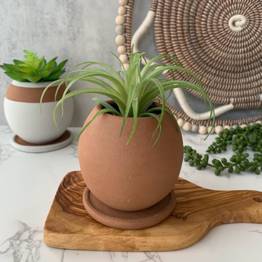 "Be Round" Small ceramic planter w/drainage plate - Terracotta