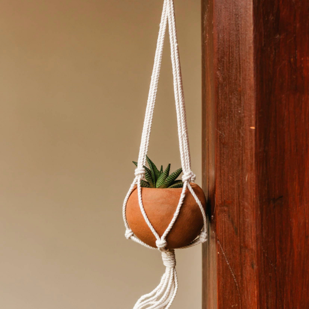 Mini Round planter w/Macrame Hanger - Terracotta