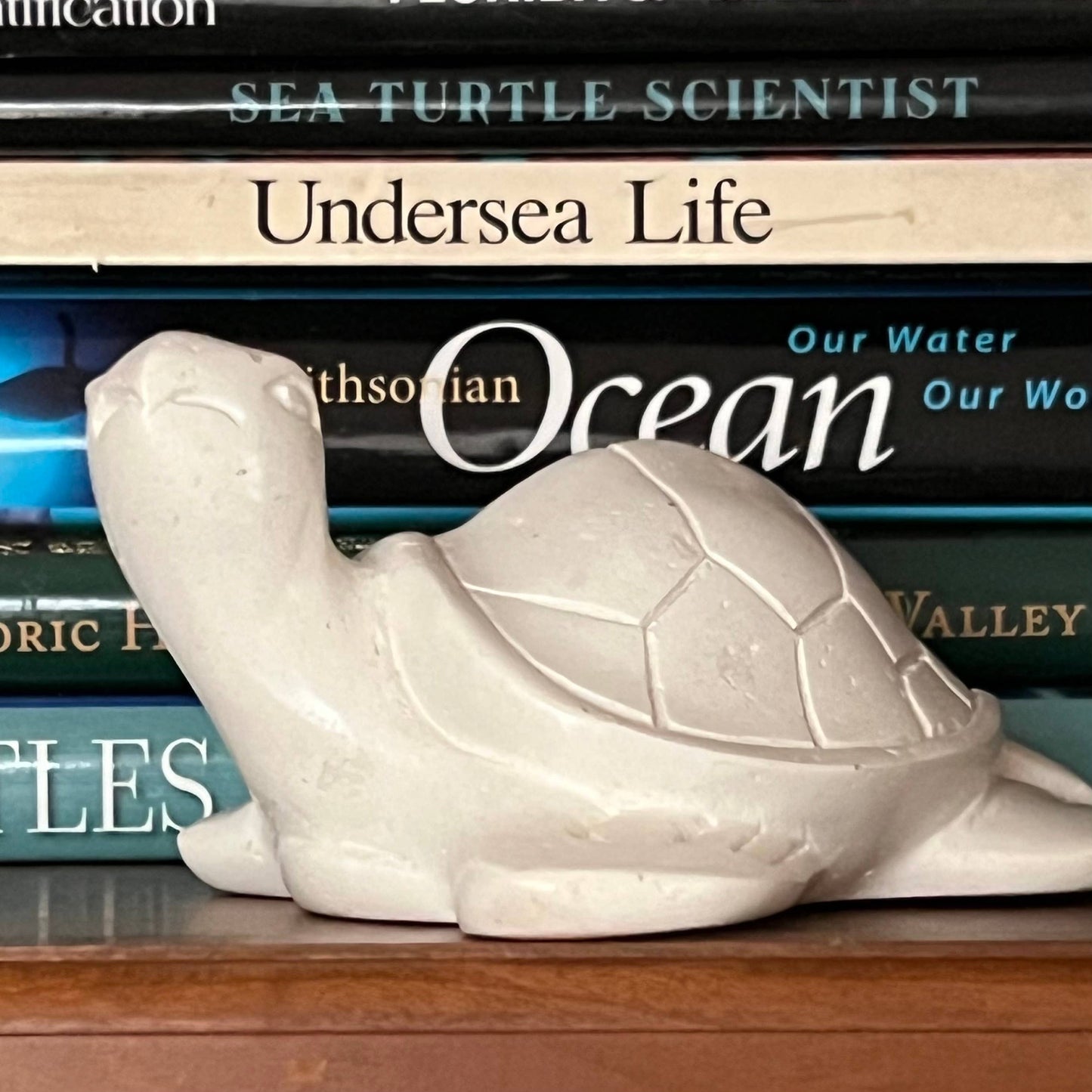 Soapstone Turtle Sculpture